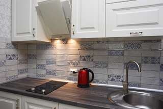 Апартаменты Dnipro view Slavutich apartment Киев Апартаменты с 2 спальнями-30